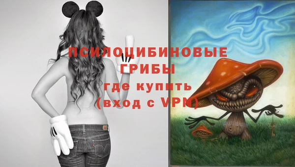 соль курить ск Осинники