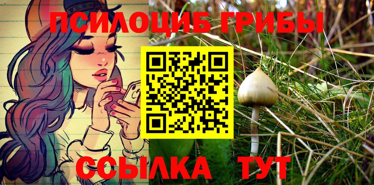 Балашов  Галлюциногенные грибы Psilocybe  Псилоцибиновые грибы Psilocybine cubensis  Вход с VPN 